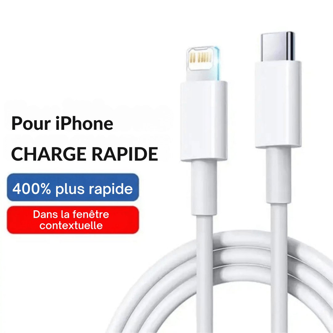 Câble de Charge Rapide 20W PD pour iPhone et iPad - Velloris